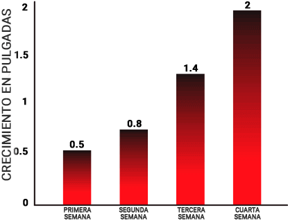 growth-graph